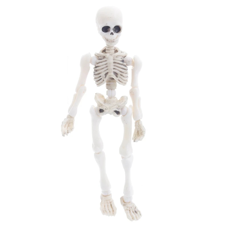 Подвижный мистер Кости Скелет Модель человека Череп Мини фигурка для всего тела Игрушка Хэллоуин F29 20 Прямая поставка
